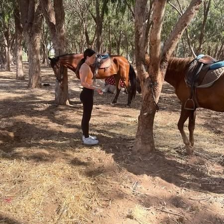Horse Ride Agadir