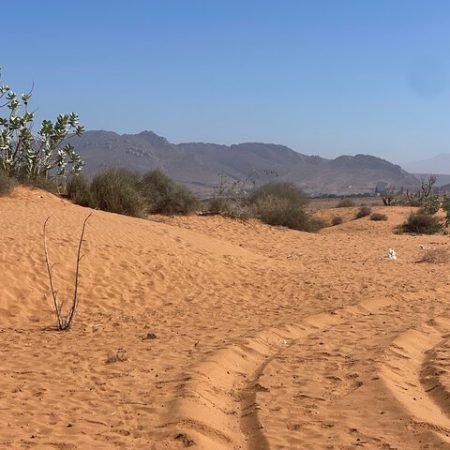 Jeep Safari Agadir