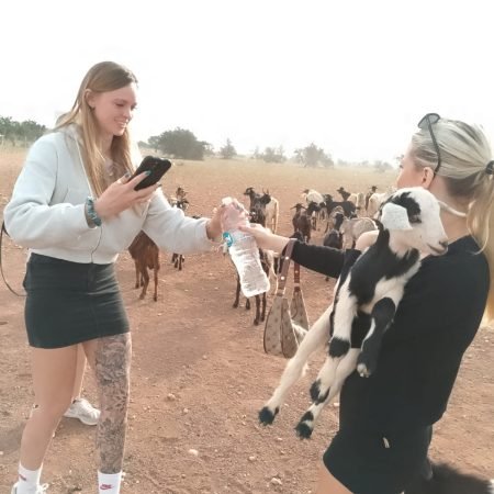 argan-tree-goats-agadir-tour
