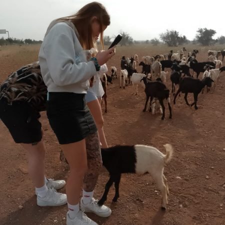 family-goat-trip-agadir-farm
