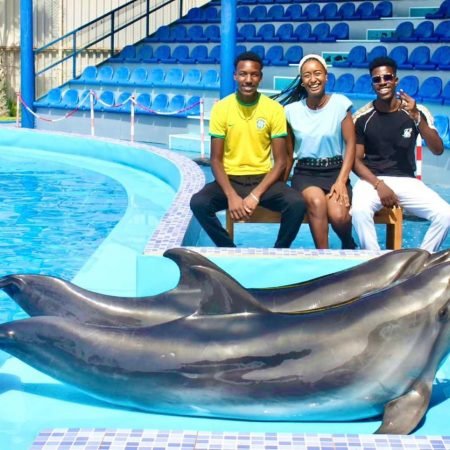 Dolphin World trip 5 dolphin-watching-agadir-family-tour