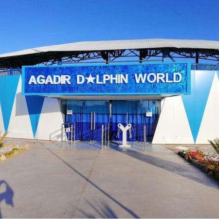 Dolphin World trip 2 Agadir Dolphin World