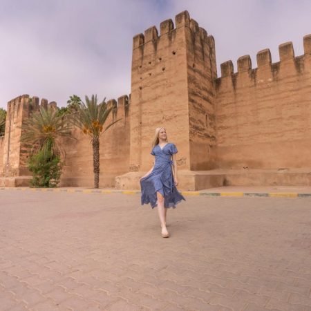 tiout-oasis-agadir-day-trip
