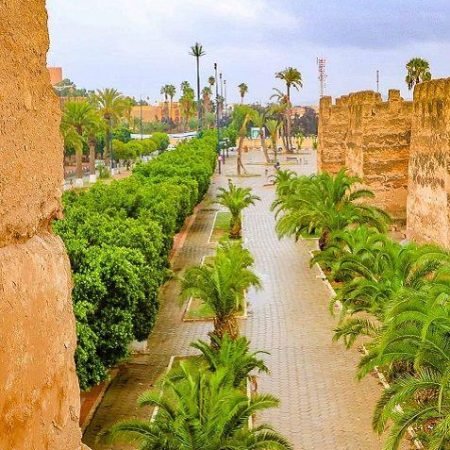 Taroudant Day Trip and Tiout Oasis