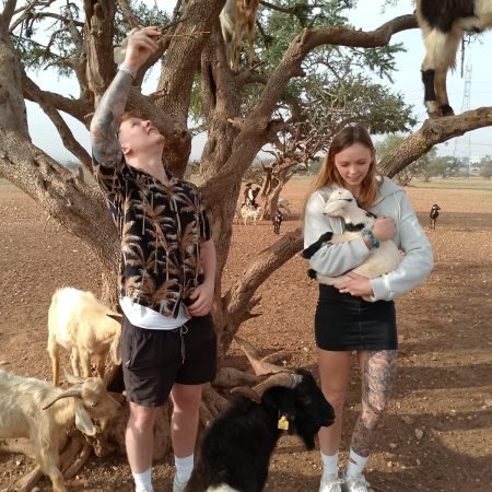 Goats on the Tree Agadir